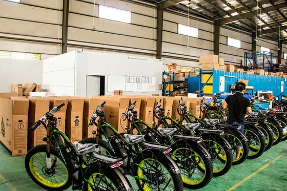 1000w Cargo Fast Fat Tire Electric Bike Motor Brushless 50kmh Velo Cysum M900 Review