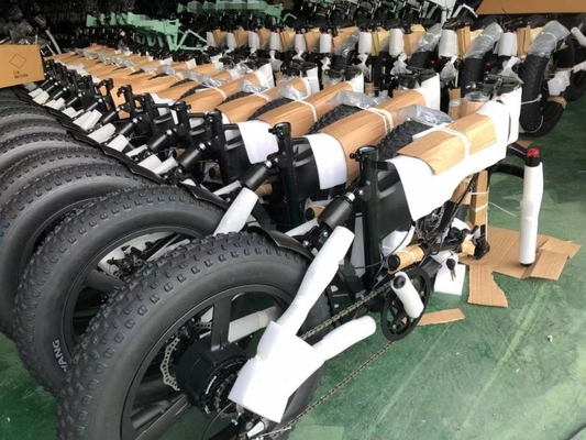 20 Inch Electric Fat Tire Bike 500w 20 X 4.0" 48v 13Ah RICH BIT 014
