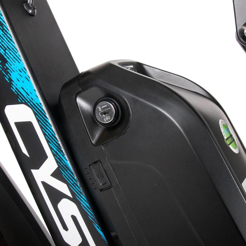 High Power E Bikes Electric Bicycle 1000w 750w 50kmh Cysum Ebike m900