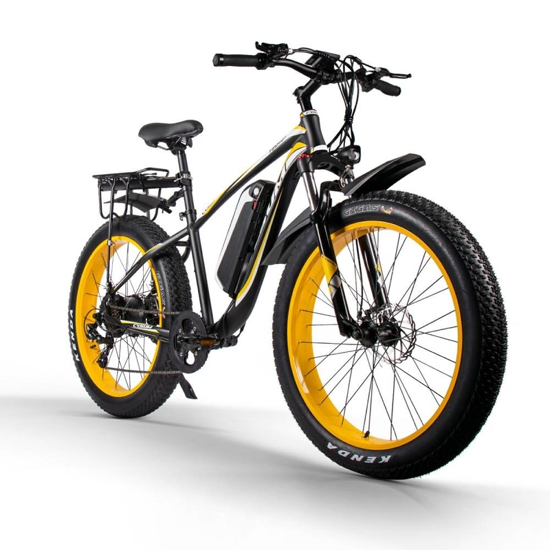 Cargo City Commuter Electric Bike 1000w 48v 15Ah Rear Rack Hardtail CYSUM M980