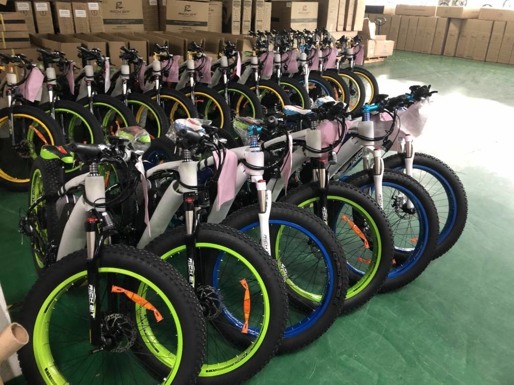 Lightweight Fat Tire Electric Bike Surly Frame 1000 Watt Brushless Motor 250w