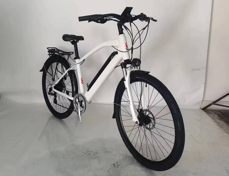29 Inch E Mountain Bike Rear Hub Motor Black 36v 300w 15Ah Rich Bit Top 880